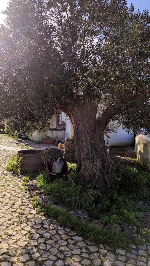 MontelavarAncos Little House -Sintra Countryside-别墅 外观 照片